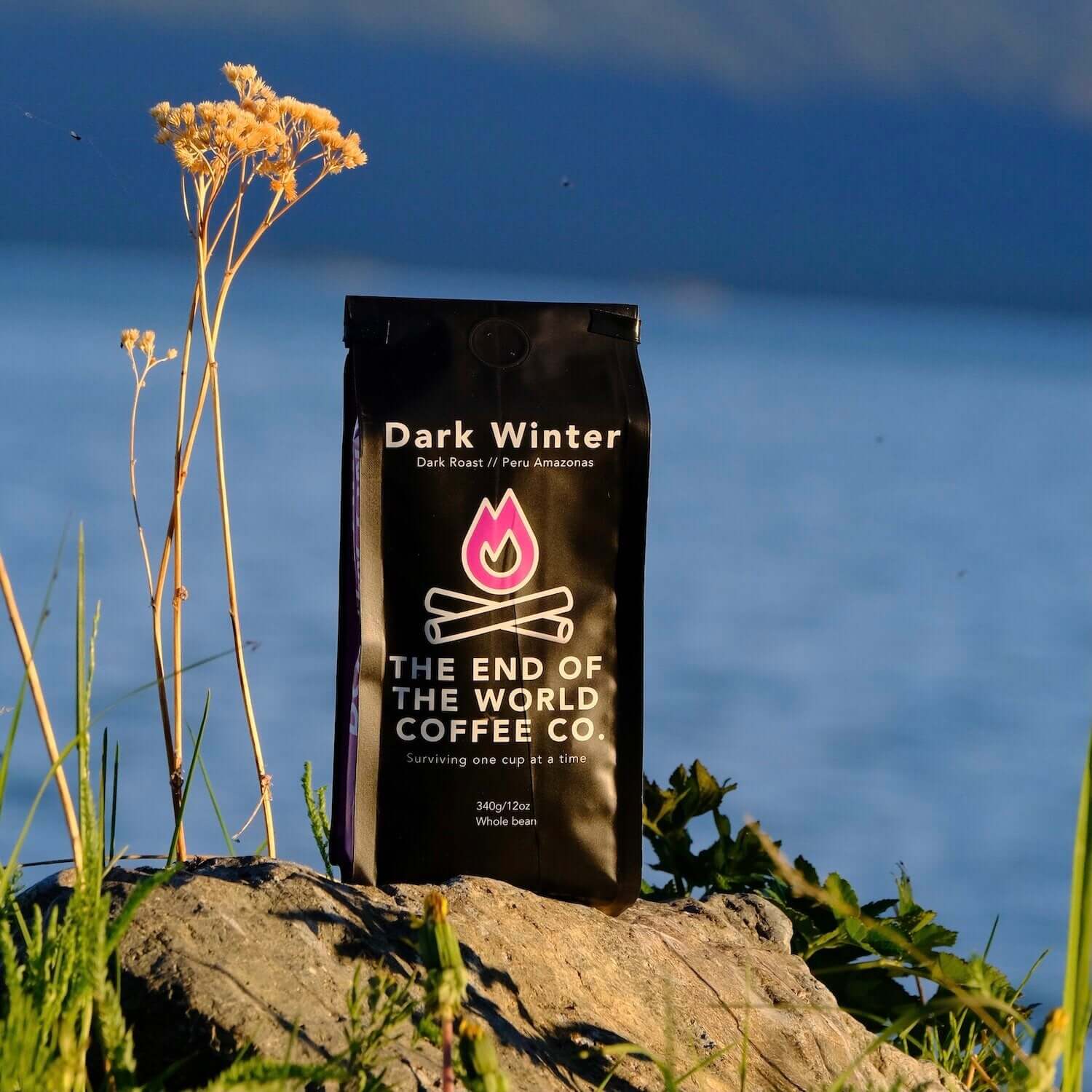 Dark Winter Coffee by The End of the World Coffee Co.